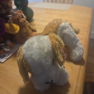 2002 Darling Adorable Beanie Baby Dog Plush